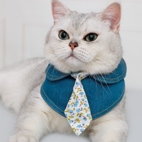Fashion Denim