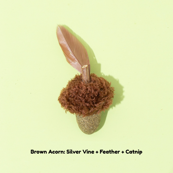Nutty Nibbles Catnip Toy