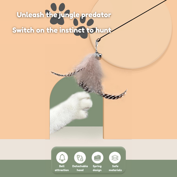 Boing & Bell Feather Teaser