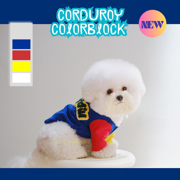 Corduroy Colorblock Charm