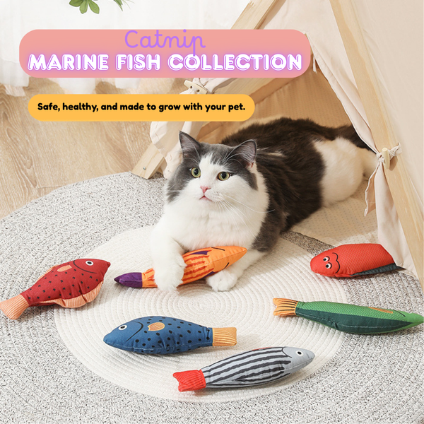 Cheeky Meow Fish
