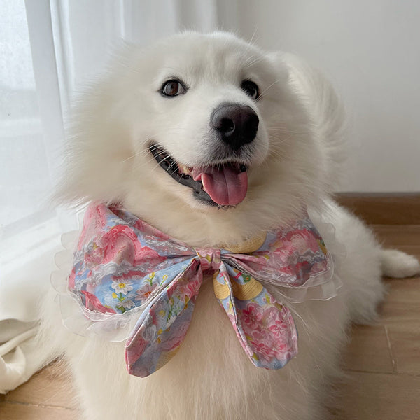 Summer Soirée Pet Cravat