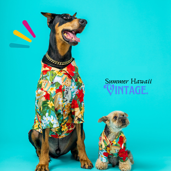 Hawaii Vintage