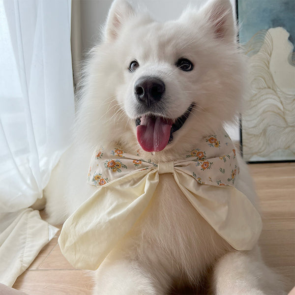 Petal Bow Tie