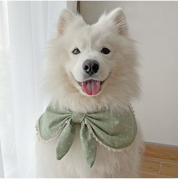 Avocado Pet Bandana & Scarf