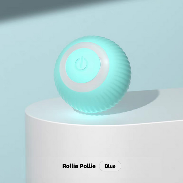 Rollie Pollie