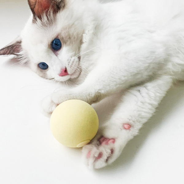 Squeaky Nip Ball